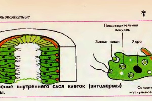 Кракен точка ат