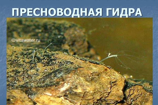Кракен сайт наркота