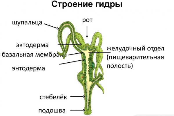 Kraken зеркало официальный