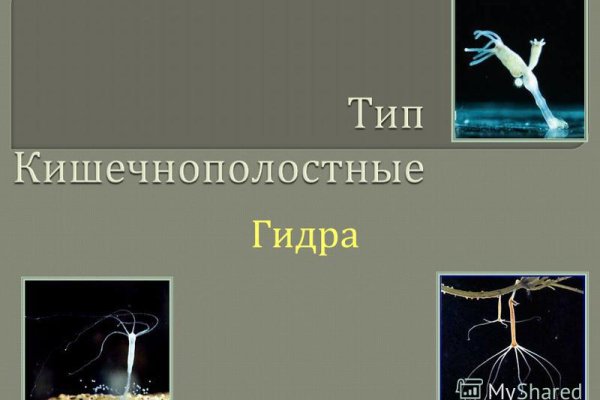 Через какой браузер зайти на кракен