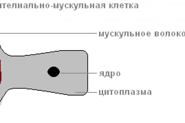 Кракен не работает тор