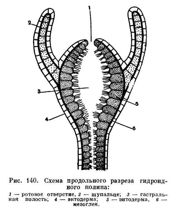 Мега кракен блэк спрут