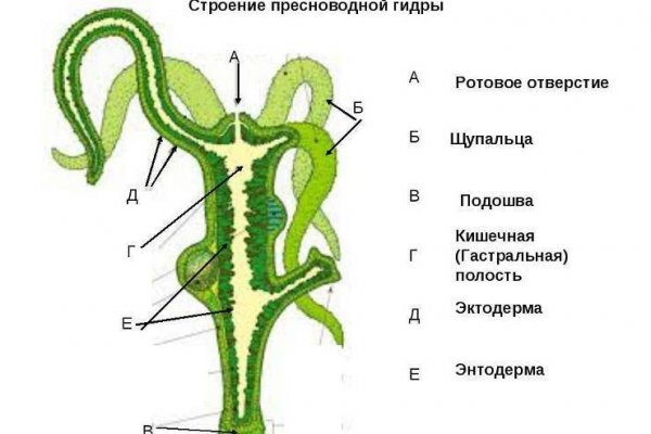 Кракен даркнет тор